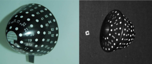 Scaled model of the capsule with coded marking points (left: trimmed; right: untrimmed).