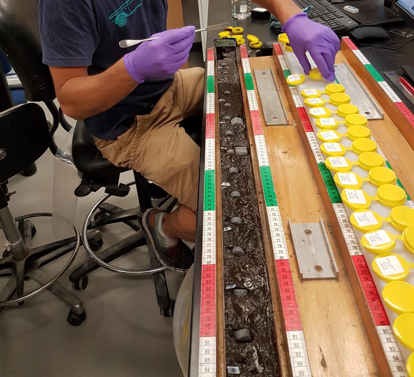 Taking Samples from a Sediment Core for Age Determination by Radiocarbon Measurements