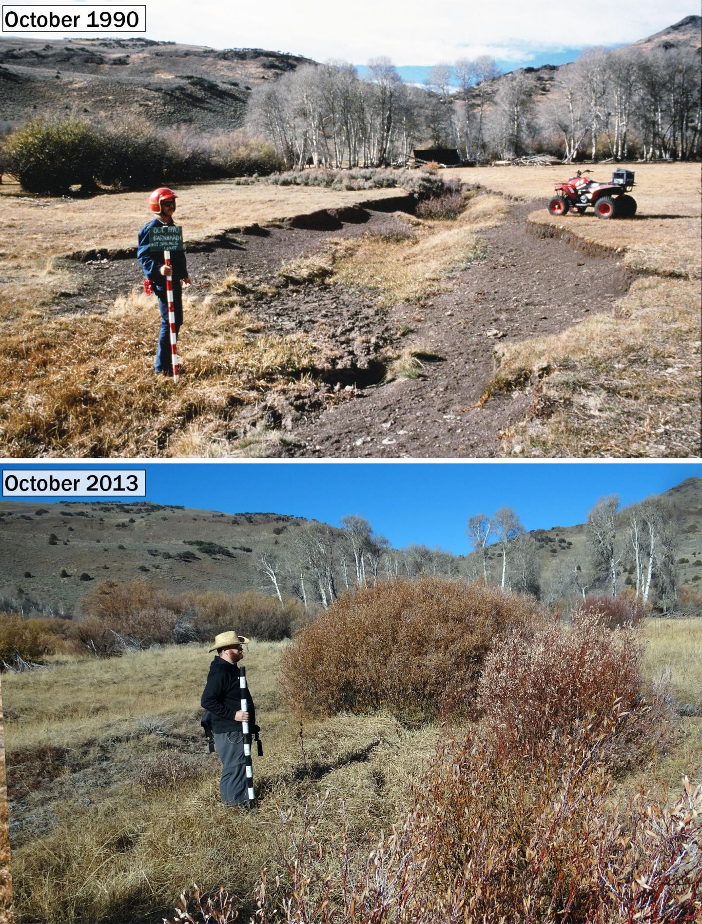 Cattle Damage to Riverbanks Can be Undone
