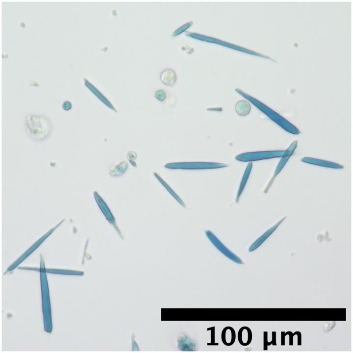 Engineered Protein Crystals Make Cells Magnetic