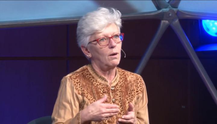 Margareth Capurro, Fundação de Amparo à Pesquisa do Estado de São Paulo