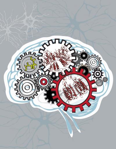 mGlu1 Receptor Illustration (3 of 3)