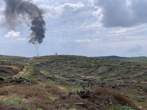 Area being prepared for a second-generation oil palm plantation in Jambi