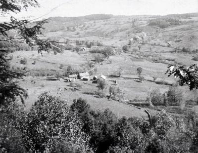 Forest Cover in Slab City, 1890