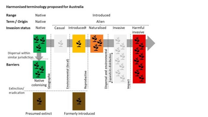 Harmonised workflow to unify terminology on biological invasions across Australian data sources.