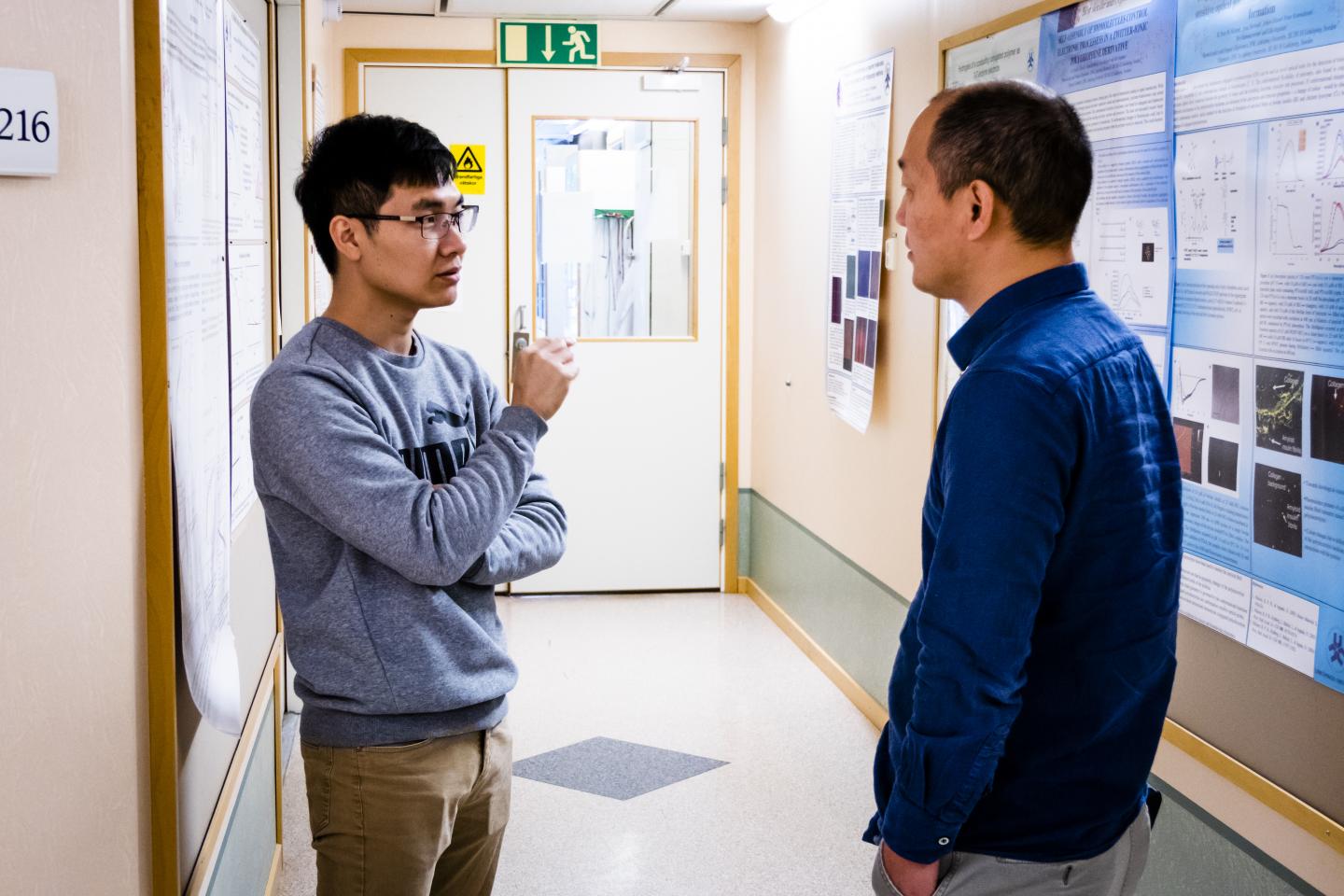 Perovskites Optical Communication