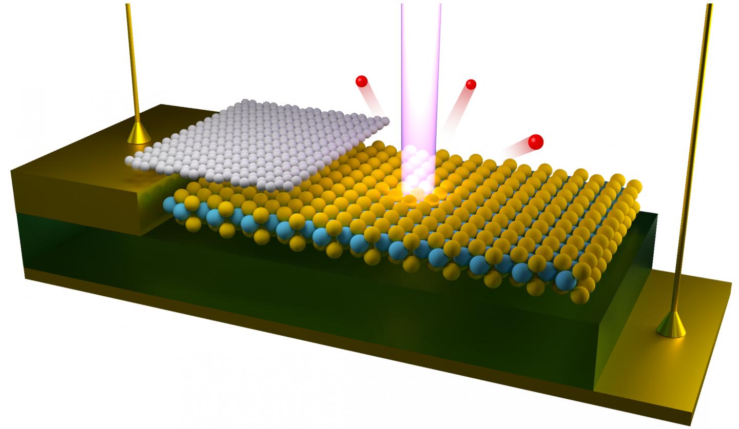 Beam of Light Focused on a Two-Dimensional Semiconductor Device