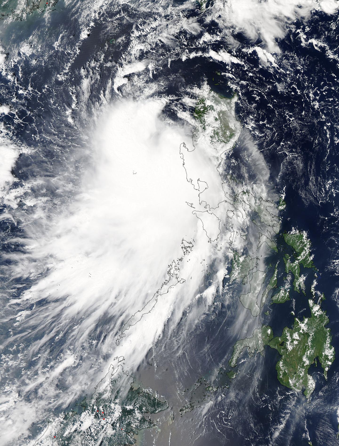 Aqua Image of Mujigae