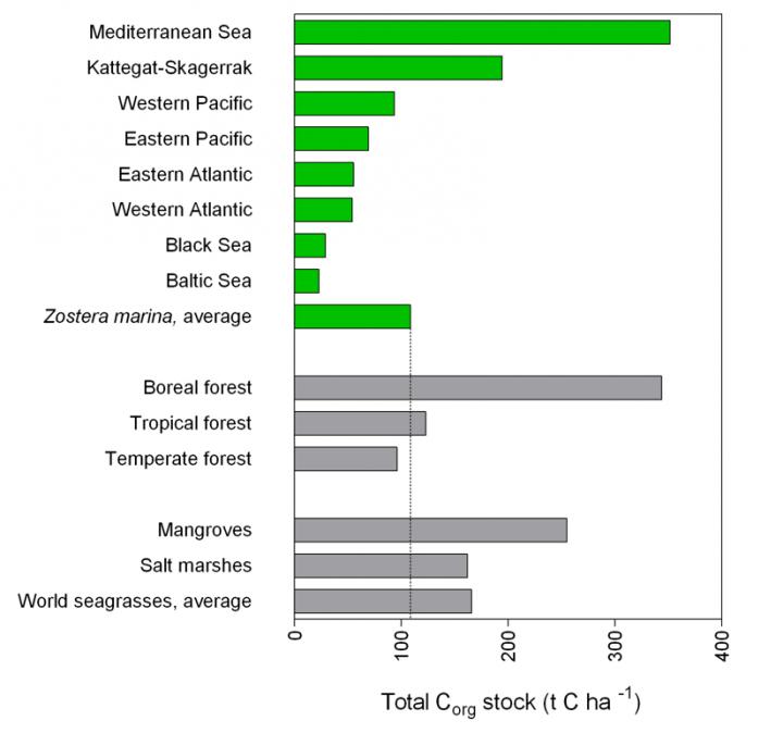 Comparison of Carbon Stocks