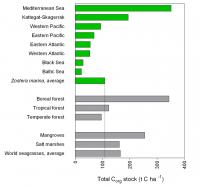 Comparison of Carbon Stocks