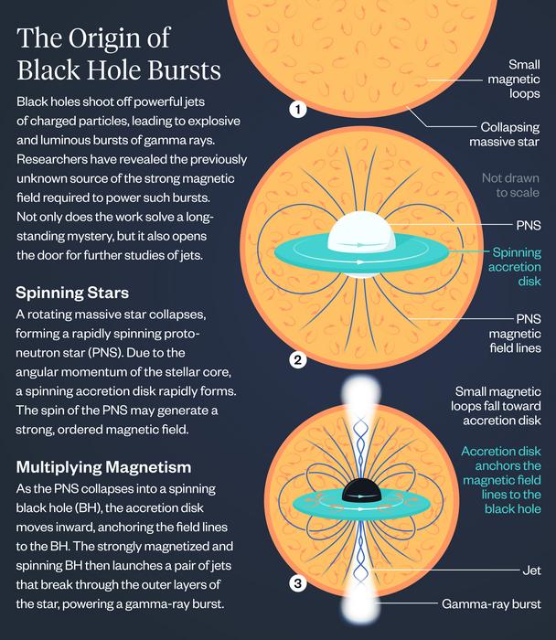 Black hole magnetism infographic