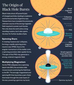 Black hole magnetism infographic