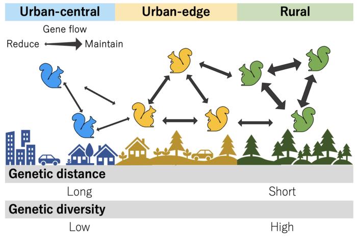 Image for Schematic diagram of Research