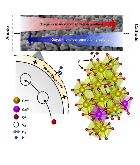 synergistic mechanism happened in fuel cell