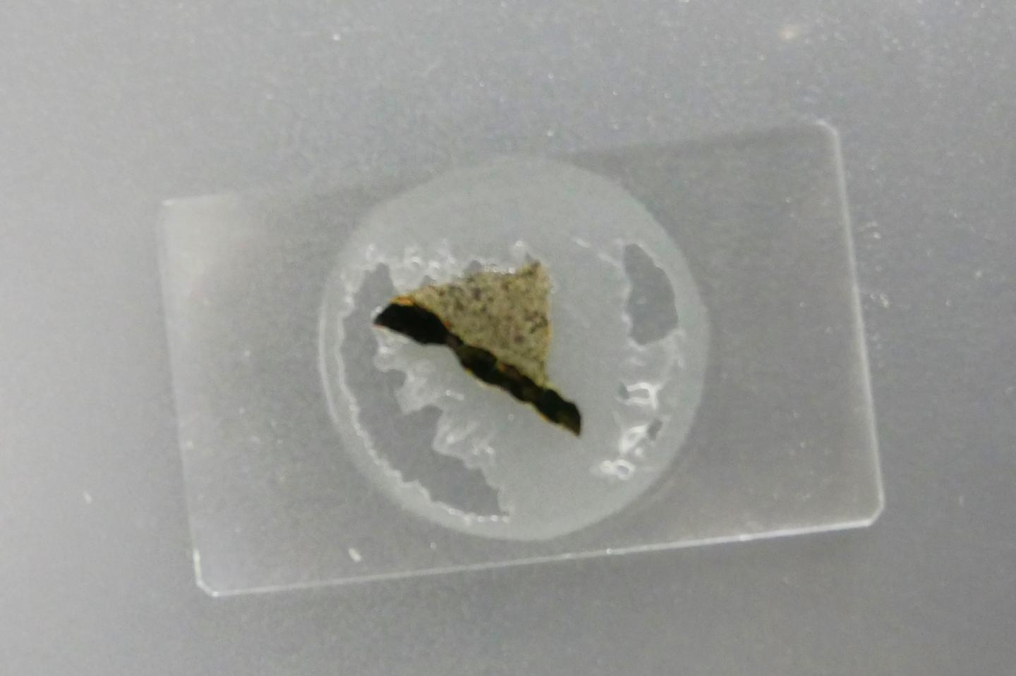 Rock Slice Prepared at the University of Tokyo