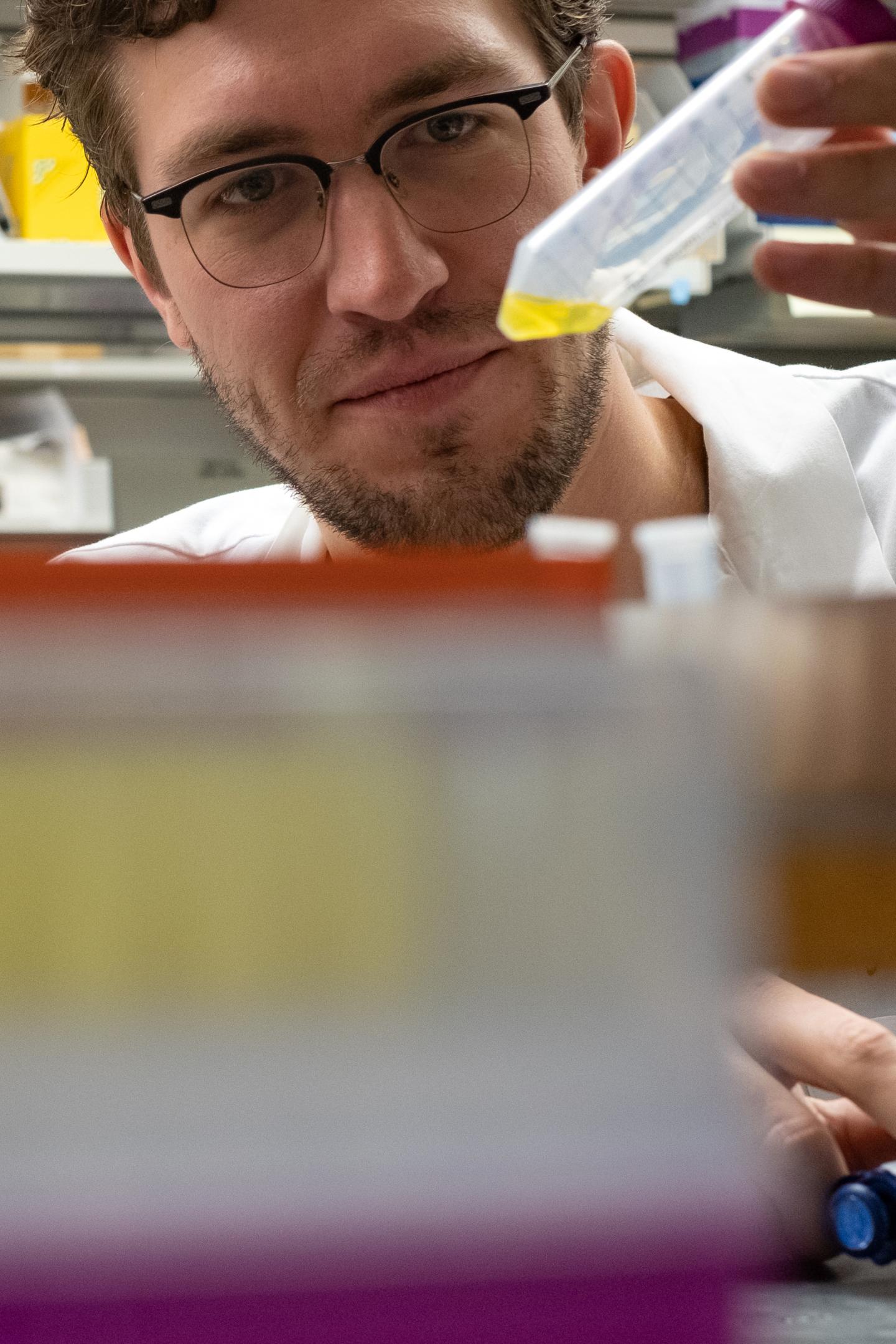 Proteins as Electrical Switches