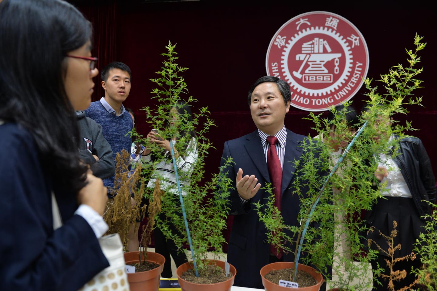 Researchers with <em>A. annua</em> Plants (2 of 2)