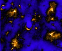 Fluorescent calcium activity in astrocytes