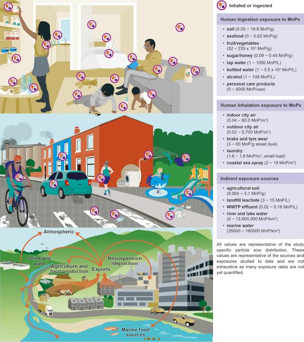 Environmental exposure routes, transport, and sources of MnPs Environmental exposure routes and sources of MnPs in indoor and outdoor environments