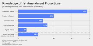 Knowledge of the First Amendment