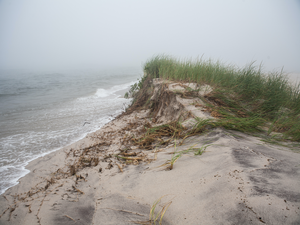 Onset of Modern Sea Level Rise Began in 1863, International Study Finds