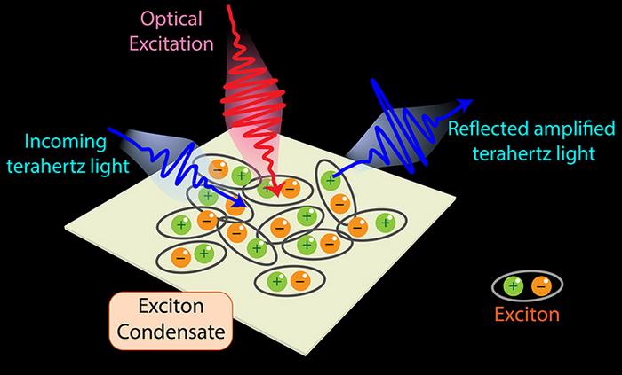 improved technique to study TNS exciton condensates