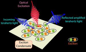 improved technique to study TNS exciton condensates