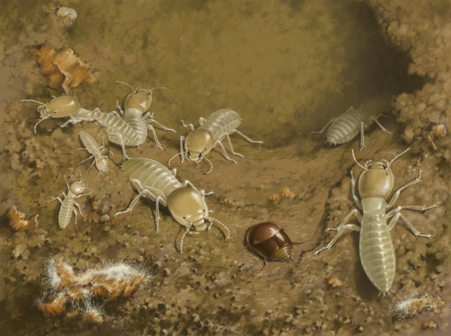 Mid-Cretaceous Termitophille Reconstruction