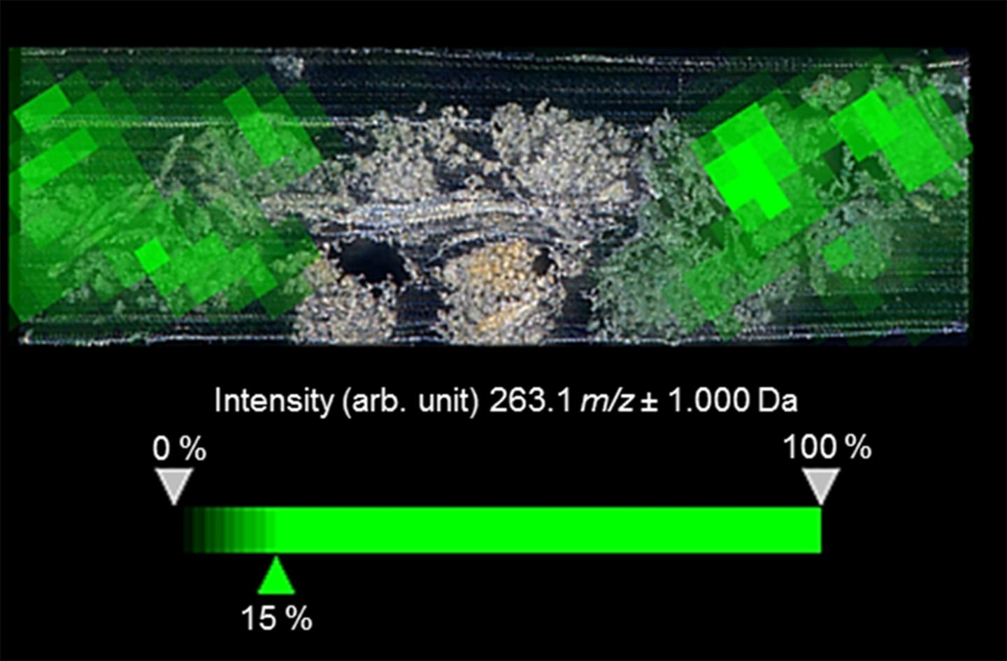 Distribution of Dyes