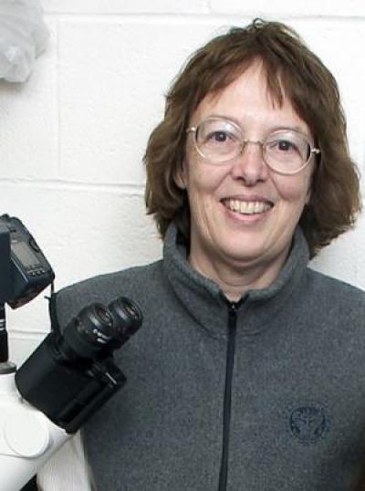 Elaine Bearer, M.D., Brown University