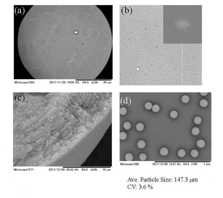Spherical Colloidal Crystal