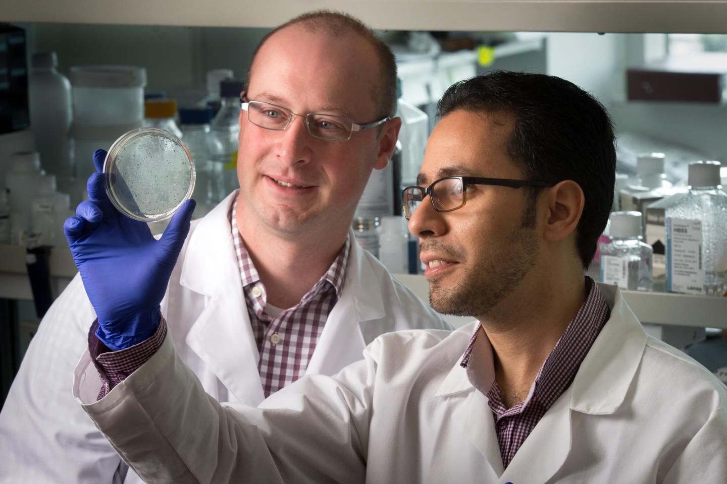 Ben Youngblood, Ph.D., and Hazem Ghoneim, Ph.D., St. Jude Children's Research Hospital