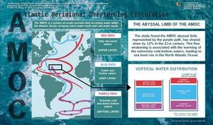 Weakening of the Atlantic Meridional Overturning Circulation Abyssal Limb in the North Atlantic