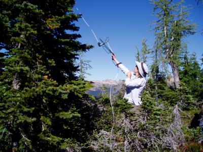 Low-Cost Temperature Sensors, Tennis Balls to Monitor Mountain Snowpack (2 of 3)