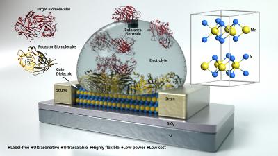 Molybdenium Disulfide FET-Based Biosensor