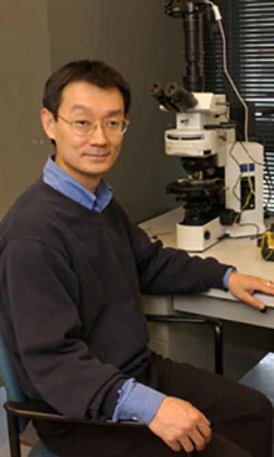 Yan-Yeung Luk, Syracuse University