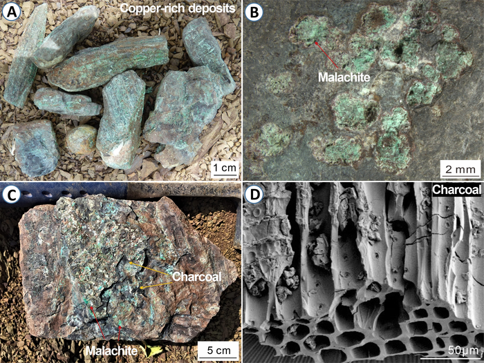 Photographs and photomicrographs of Cu-rich sulfide and charcoal from the terrestrial Permian-Triassic transition