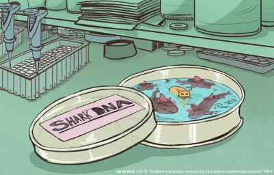 Cartoon: Shark DNA