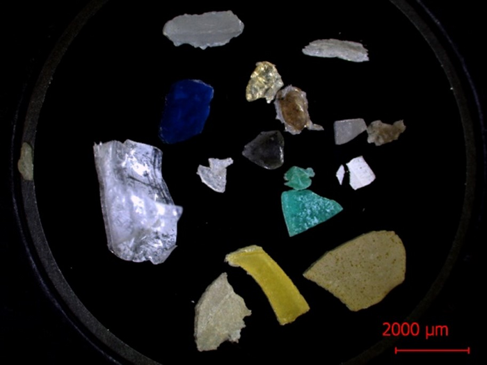Samples of microplastics