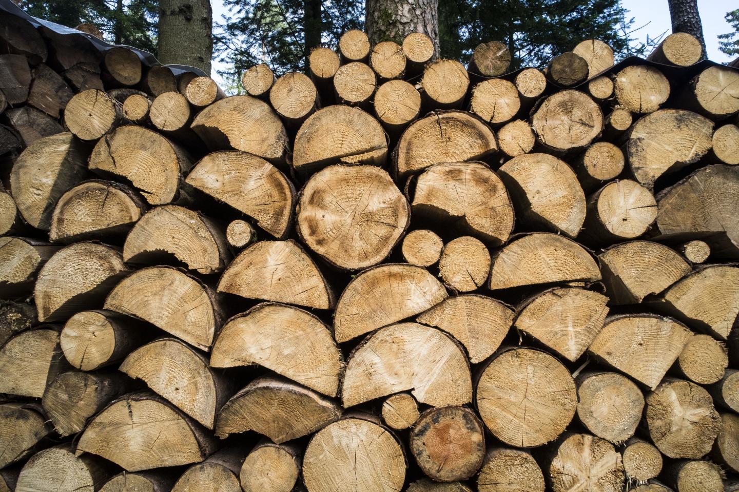 Land-Use Change Possibly Produces More Carbon Dioxide Than Assumed so Far