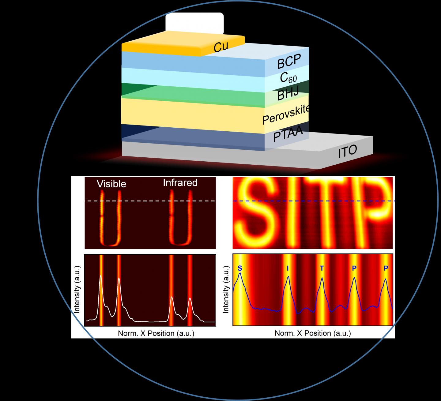 Ultrafast and broadband perovskite photodetectors for largedynamic