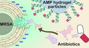 A bacterial cell is simultaneously attacked by antibiotics and a bactericidal material