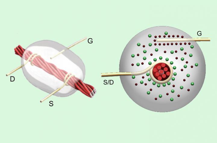 Thread Based Transistor