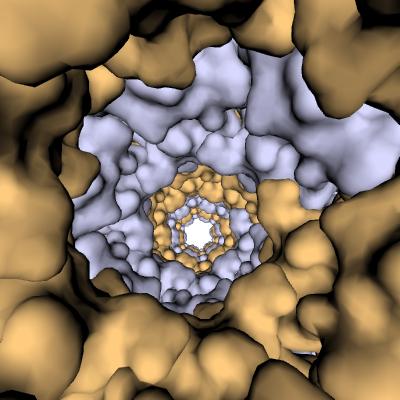 Fertilization Discovery: Do Sperm Carry Tiny Harpoons?