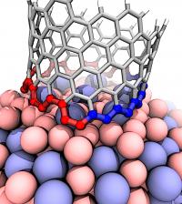The Interface between a Growing Carbon Nanotube and a Cobalt-Tungsten Catalyst