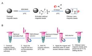 Modified Lysis Buffer and Chitosan Coated Magnetic Beads Developed for Extraction of DNA in Forensic Investigations