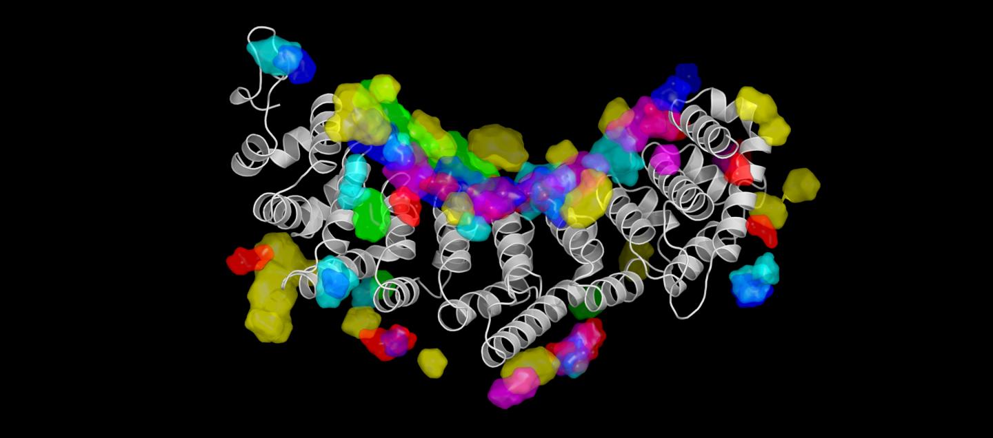 AI Reveals Nature of RNA-Protein Interactions