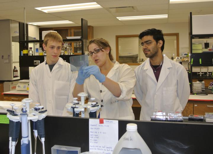 Researching a 'Apolipoprotein' That Could Protect People from Alzheimer's Disease