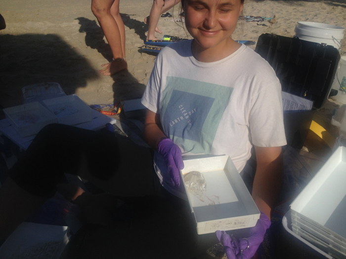 Co-author with jellyfish