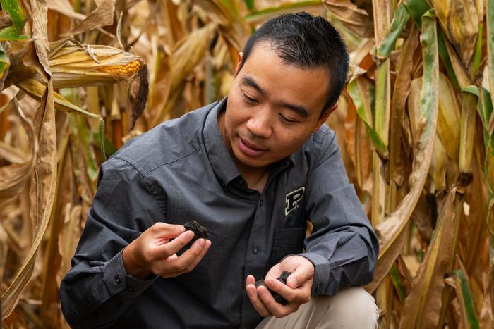 Inspecting soil quality